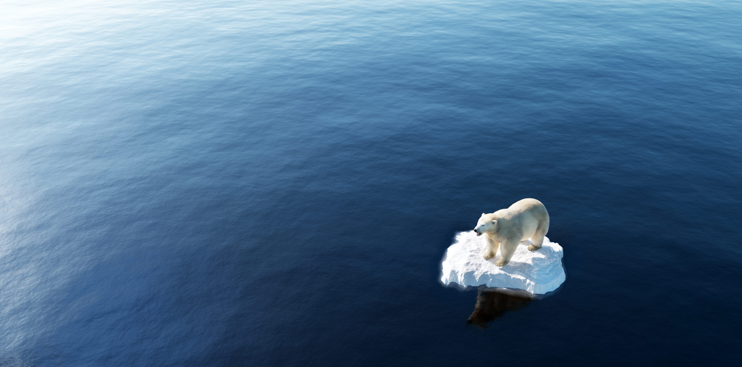 Polar bear on ice floe. Melting iceberg and global warming. Climate change. 3D illustration