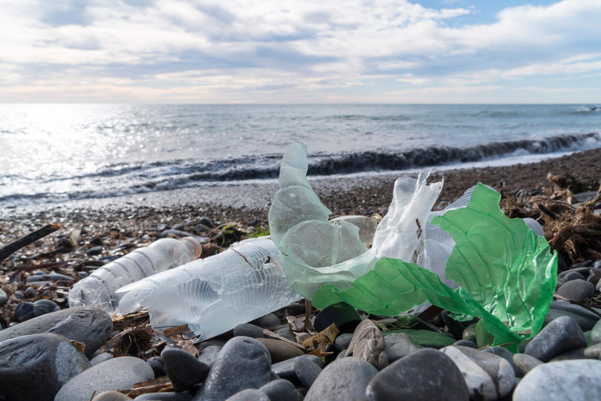 Marine pollution: plastic waste on the beach.
